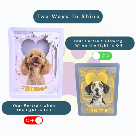 Custom 3D LED pet portrait
